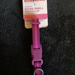 (Boots & Barkley) Dog Collar Size XS 