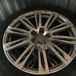 Audi Rims