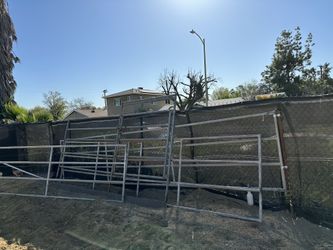 Horse Coral Panels