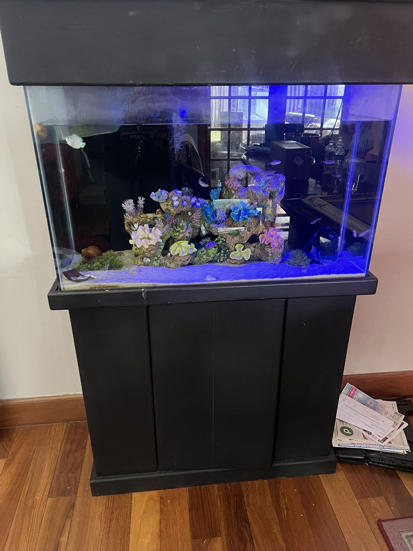 Fish Tank 50 Gallons (DECOR SOLD SEPARATE)