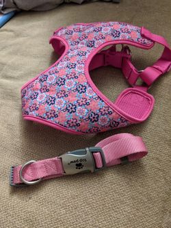 Dog collar and vest