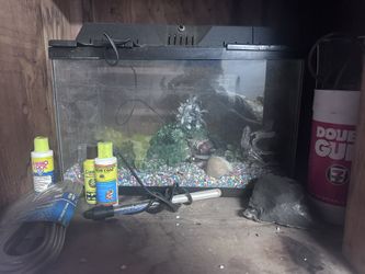 Fish Tank