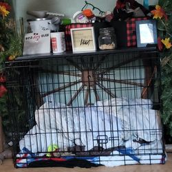 Dog Crate  