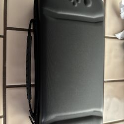 Nintendo Switch Carrying Case 