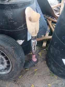 Prosthetic leg