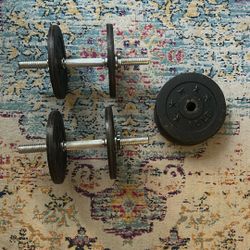 Adjustable Dumbbells 💪🏽 