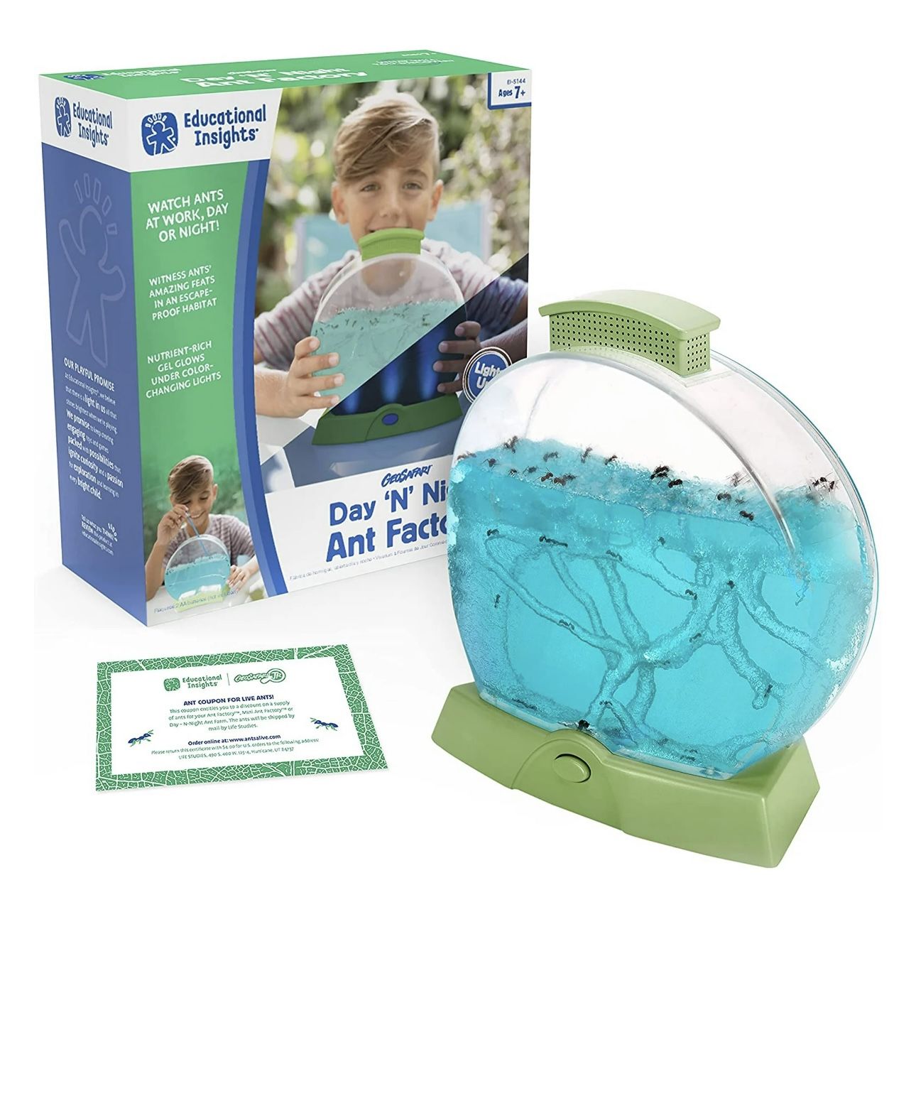 Educational Insights Day 'N' Night Ant Factory, Ant Farm Habitat with Magnifier & LED Lights, STEM & Science Kit, Educational Science Toy