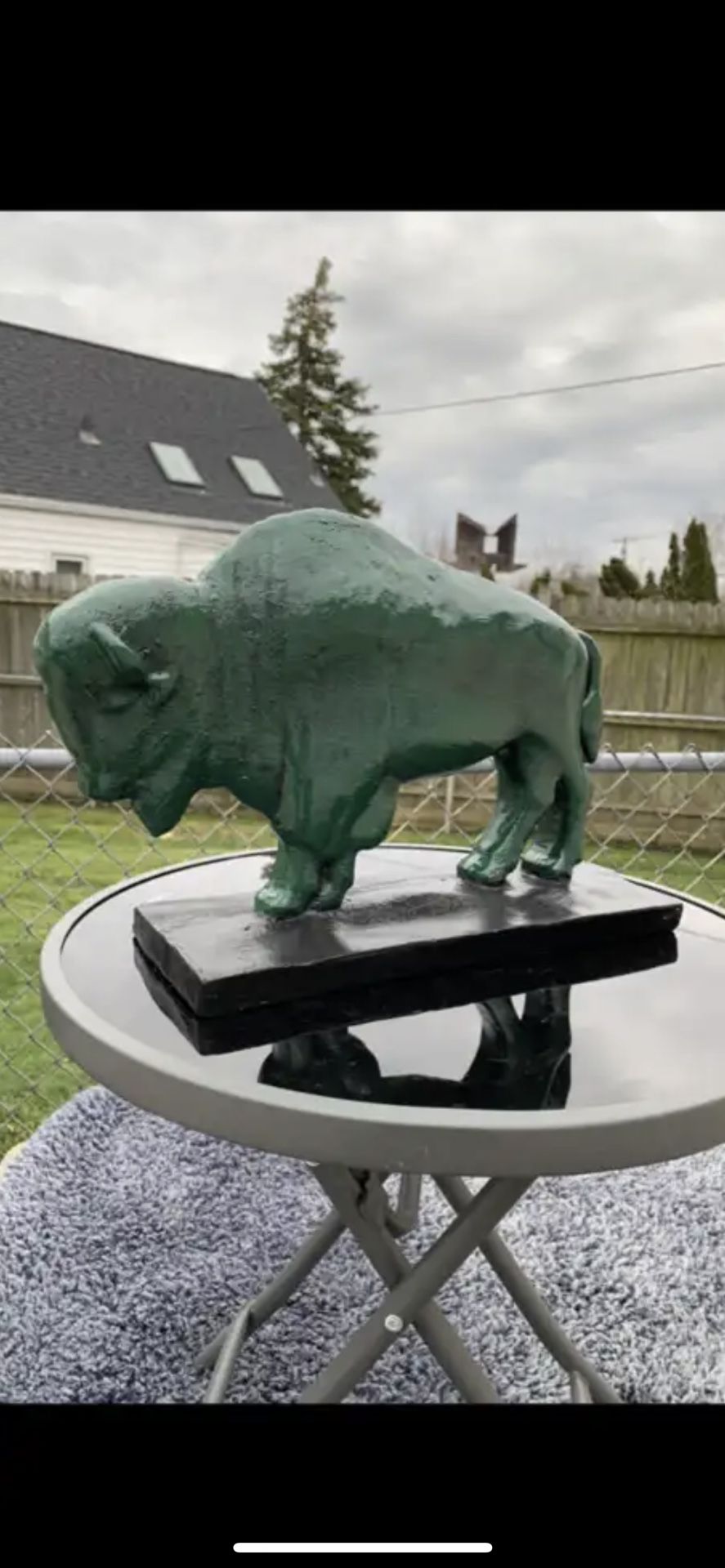 The Irish Buffalo