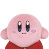 Kirb7