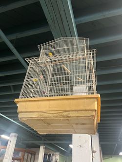 Large Bird Cage