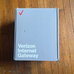 Verizon Internet Gateway