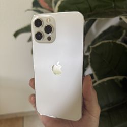 iPhone 12 Pro Max (256 GB) 