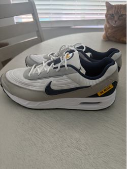 University of Michigan Nike Air Max