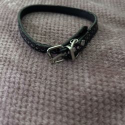 Small Dog Collar