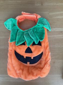 Thrills & Chills Pumpkin Dog & Cat Costume