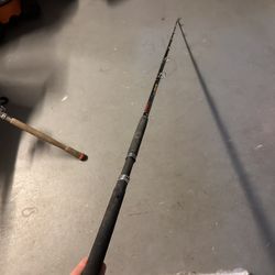 Fishing Rod