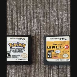 Nintendo DS