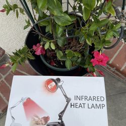 Adjustable red light therapy for body