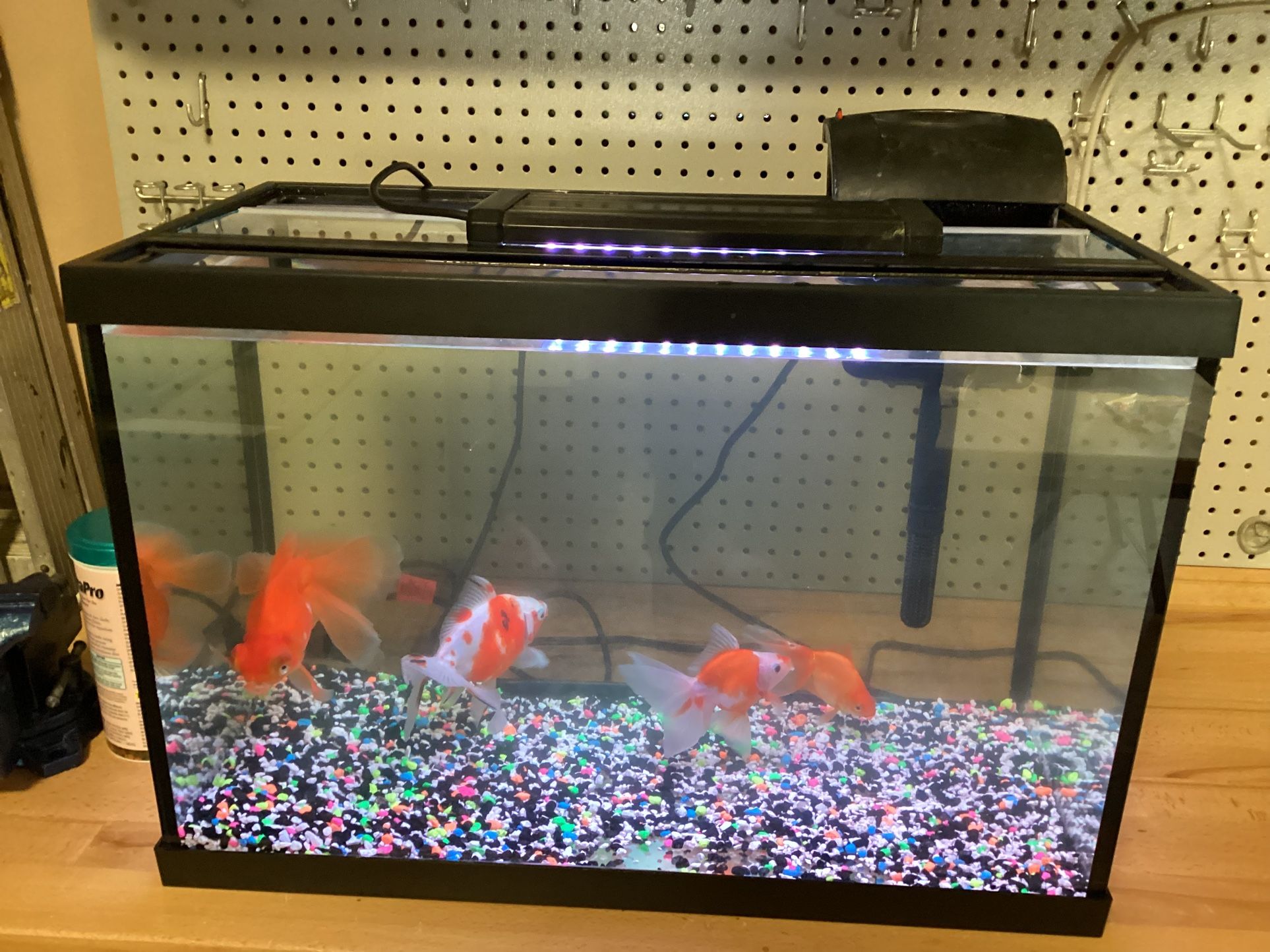 FISH TANK 20 GALLONS