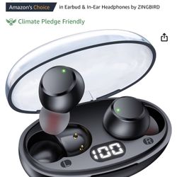 REDUCED—Zingbird Wireless Earbuds NEW