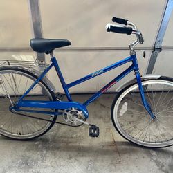 PhysioFit Spalding Bike