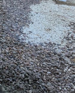 Free rocks