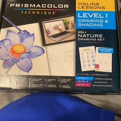 Prismacolor Technique