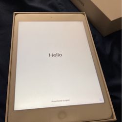 Ipad Mini 