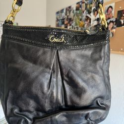 Coach Ashley Hobo Bag 