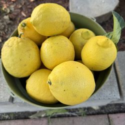 Lemons 10 For  A Dollar