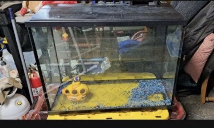 Aquarium 