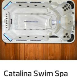 Swim Spa