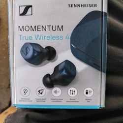 Momentum True Wireless Earphones