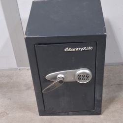 Sentry Safe Digital Safe