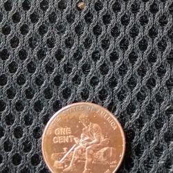 RARE Penny From Abraham Lincolns Aniversary