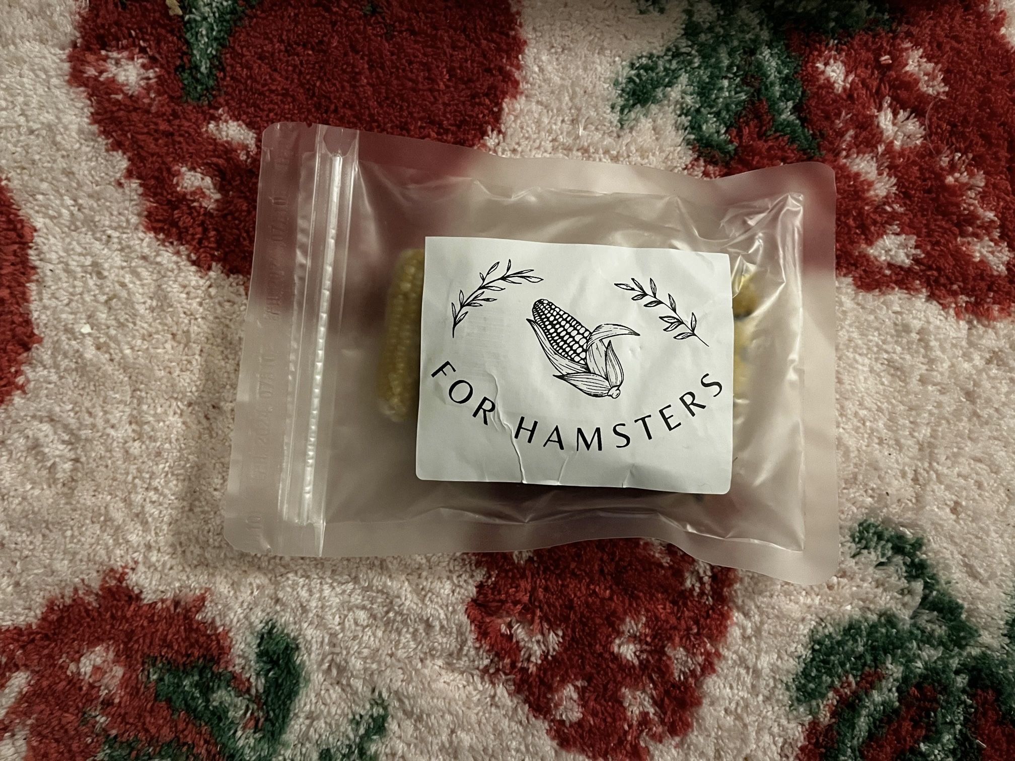 Corn on the cob treats for Hamsters