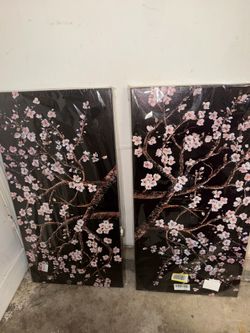 Cherry blossom pictures