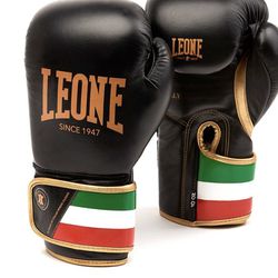 Boxing Gloves 12 Oz & 10 Oz. Brand New 100% Leather 
