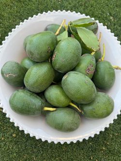 Organic thin skin, creamy avocado 🥑, 2 for $1