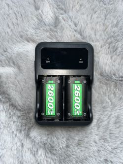2600 mAh Dual Channel Charger