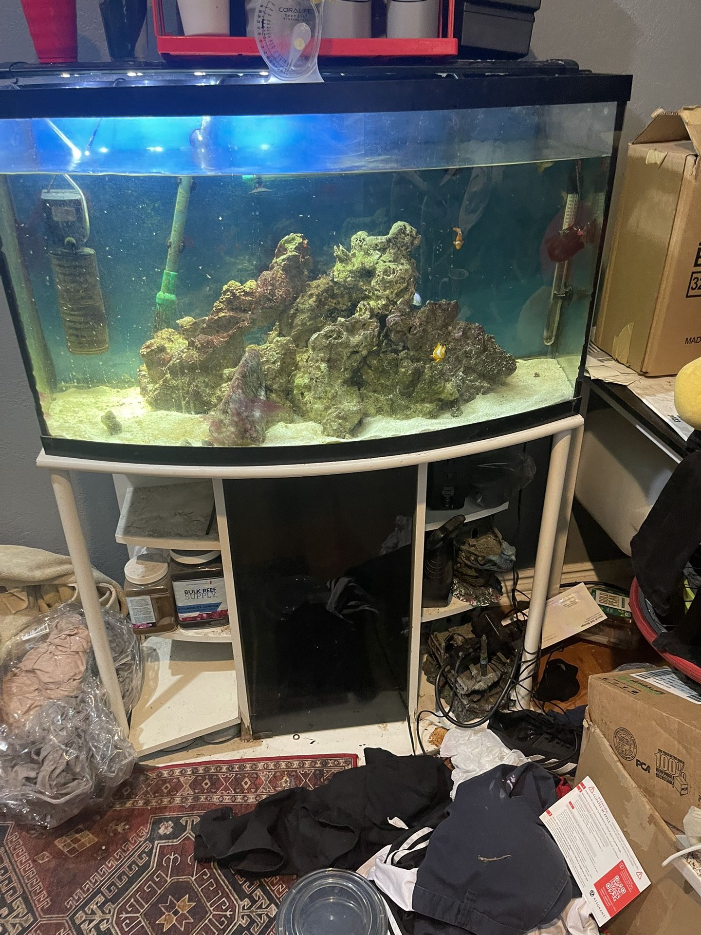 Fish Tank 50 gallon