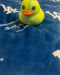 Rainbow duck squishy