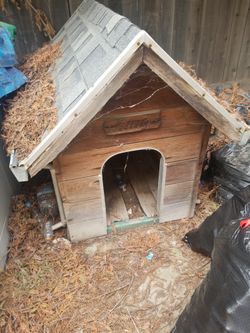 Free Dog House