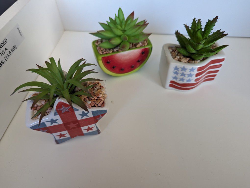 New Succulents With Cute Holders