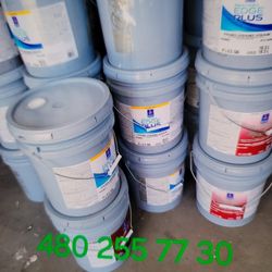 Paint For Sale 