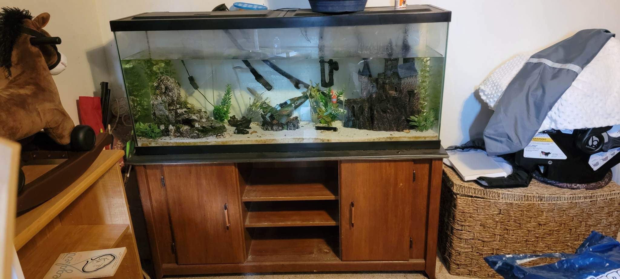50 Gallon Fish Tank