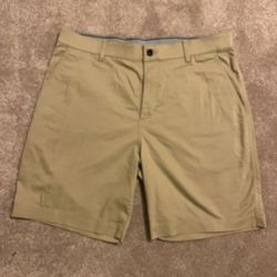 Nike SB Khaki Shorts Size 36