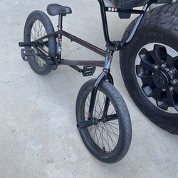 Austin Augie SIGNATURE SERIES Fitbikeco