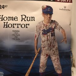Baseball Costume
