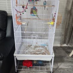 Budgie Bird Cage For Sale 